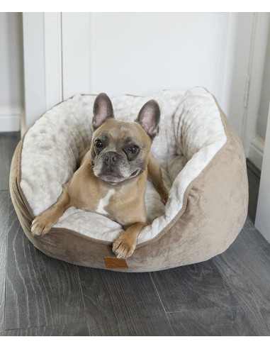 HOM-HL234-Lit papillon pour chien